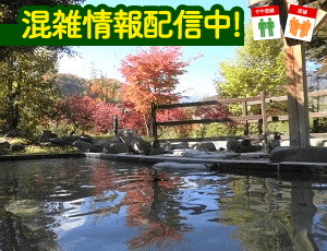 湯けむり屋敷 薬師の湯