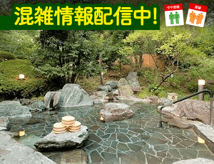 立ち寄り温泉 伊豆高原の湯