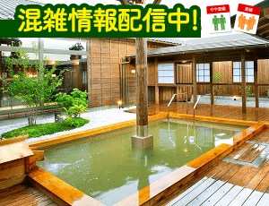 天然自家源泉 星音の湯