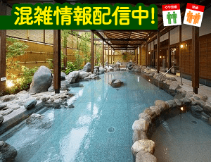 ニューウェルシティ湯河原 いずみの湯