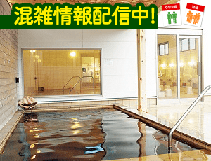 天然温泉リゾート美人の湯 カーニバルヒルズ