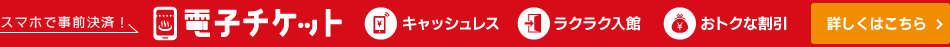 電子チケットで温浴施設の利用がもっと便利に！